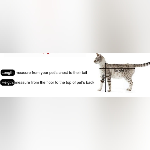 EVELTEK Soft Side Small Pet Carrier Travel Bag for Cats, Rabbits, etc. - Picture 10 of 10